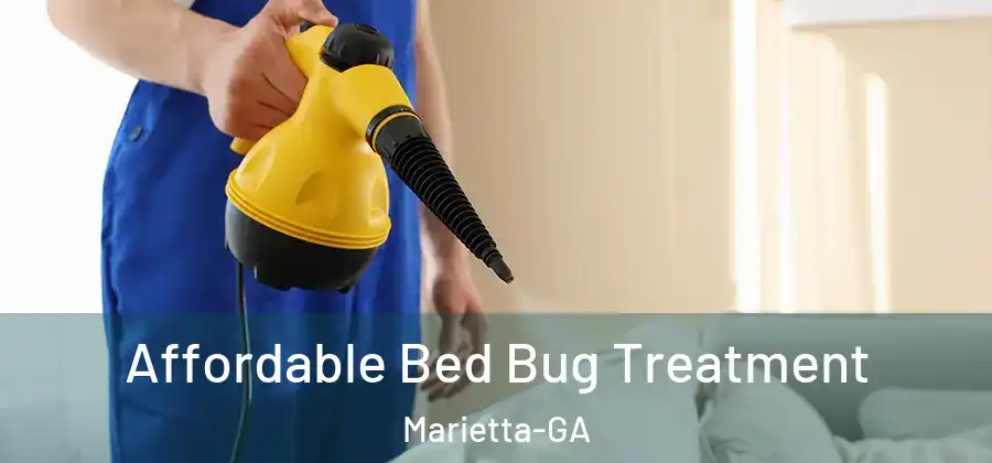  Affordable Bed Bug Treatment Marietta-GA