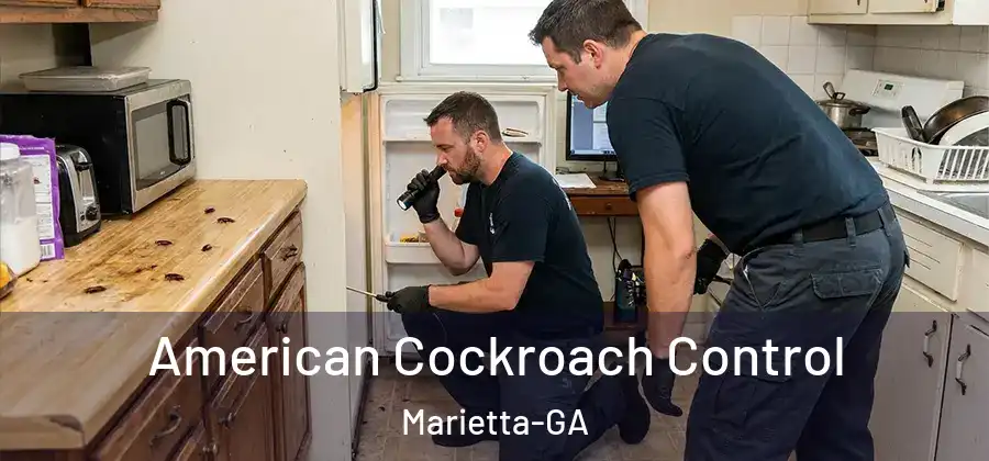  American Cockroach Control Marietta-GA