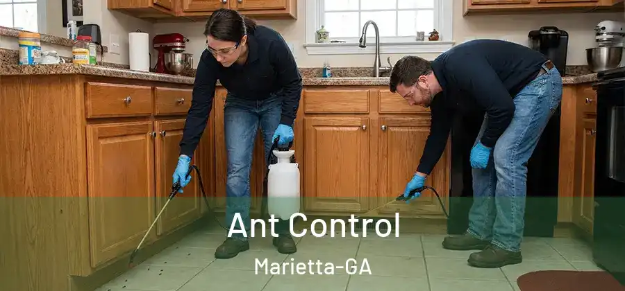 Ant Control Marietta-GA