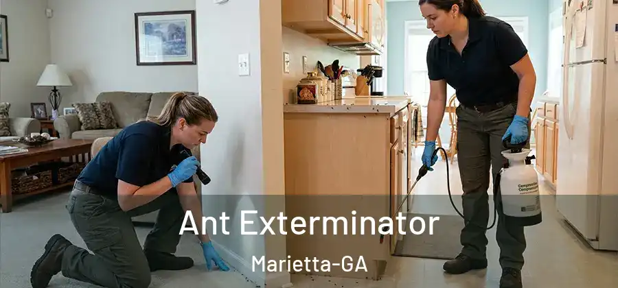 Ant Exterminator Marietta-GA