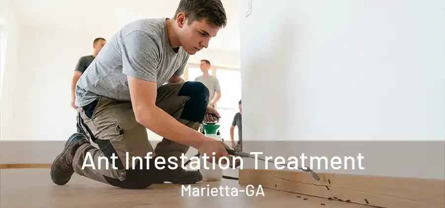 Ant Infestation Treatment Marietta-GA