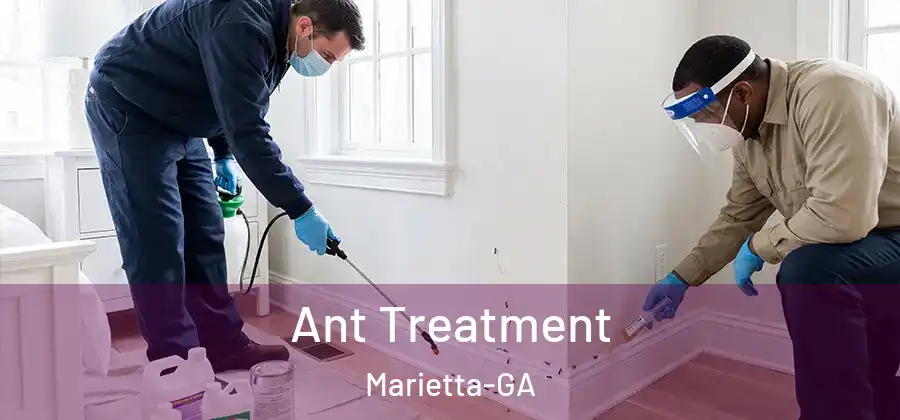  Ant Treatment Marietta-GA