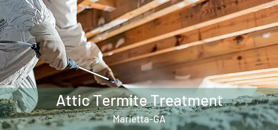  Attic Termite Treatment Marietta-GA