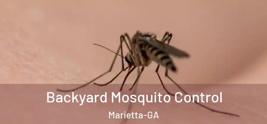 Backyard Mosquito Control Marietta-GA