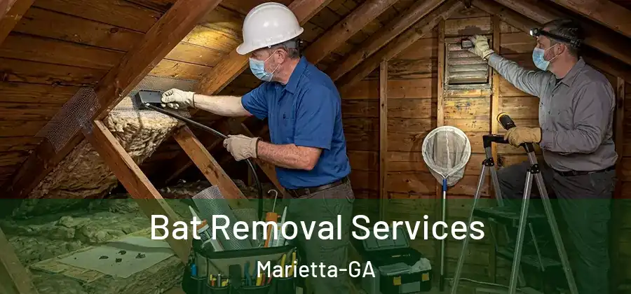  Bat Removal Services Marietta-GA