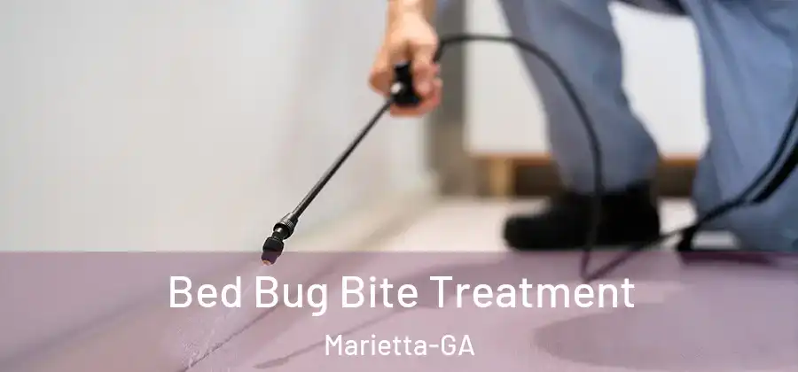 Bed Bug Bite Treatment Marietta-GA