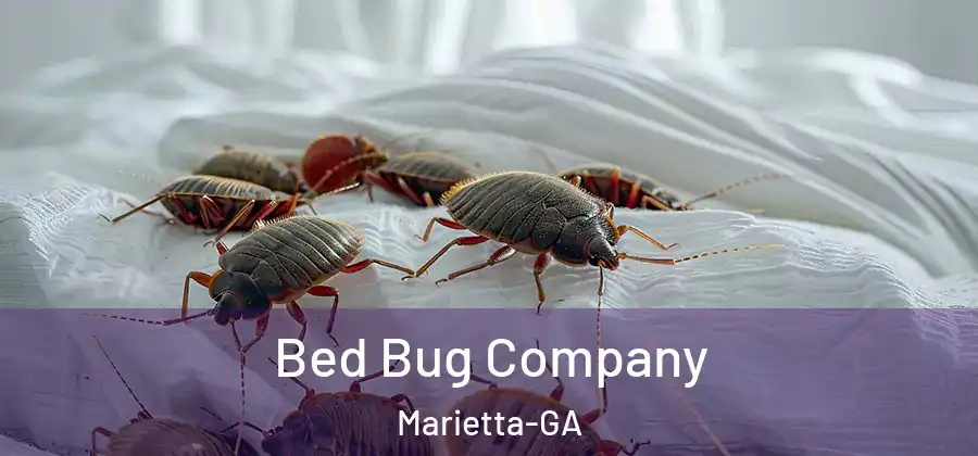 Bed Bug Company Marietta-GA