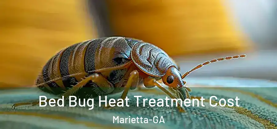  Bed Bug Heat Treatment Cost Marietta-GA