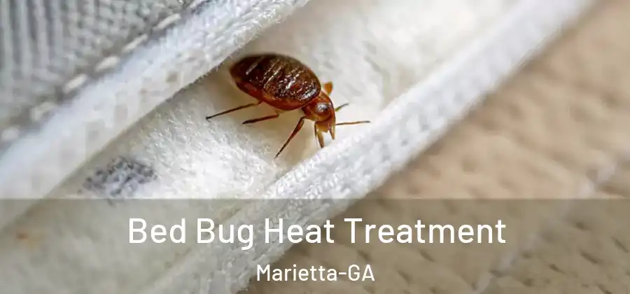 Bed Bug Heat Treatment Marietta-GA