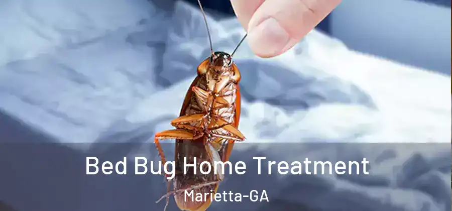  Bed Bug Home Treatment Marietta-GA