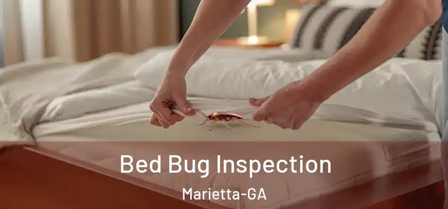 Bed Bug Inspection Marietta-GA