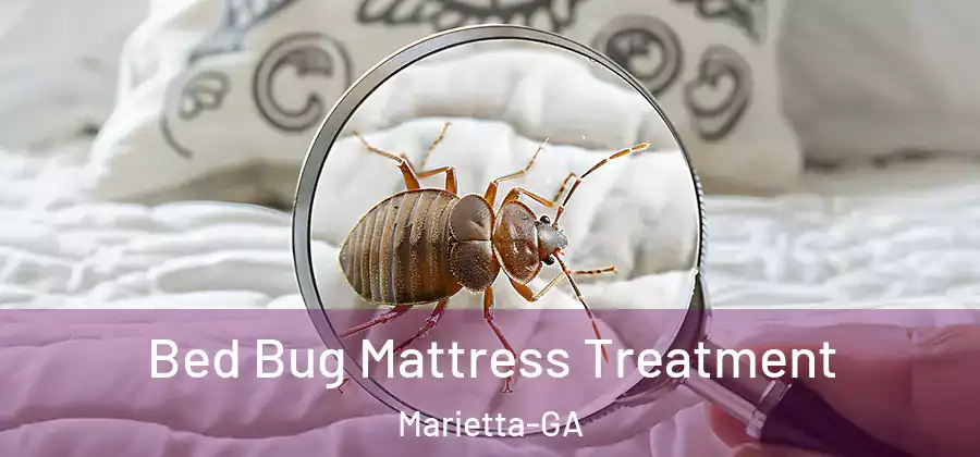  Bed Bug Mattress Treatment Marietta-GA