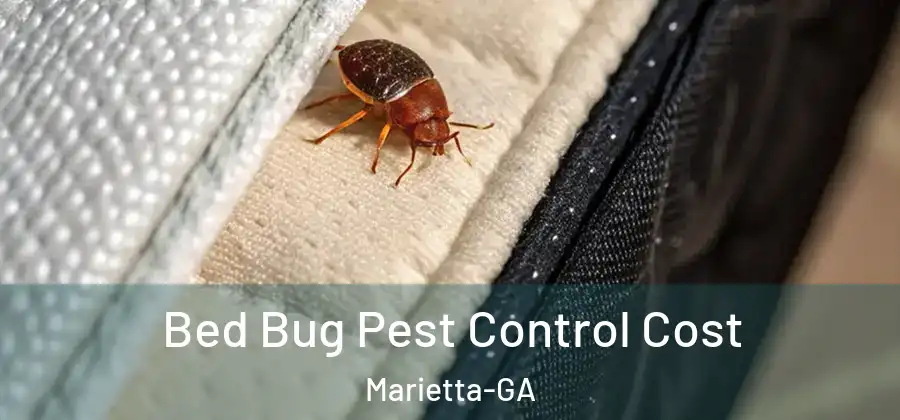 Bed Bug Pest Control Cost Marietta-GA