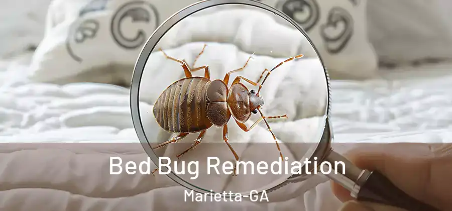  Bed Bug Remediation Marietta-GA