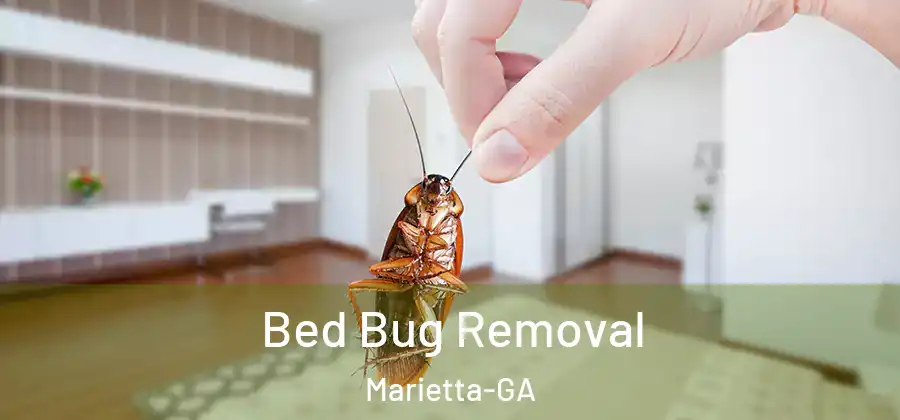 Bed Bug Removal Marietta-GA