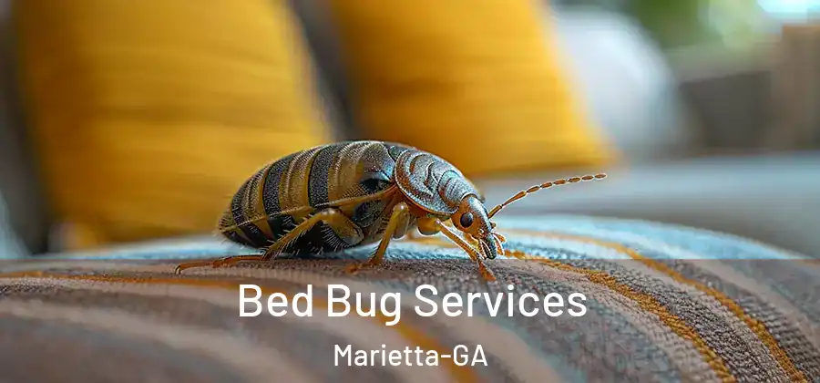 Bed Bug Services Marietta-GA