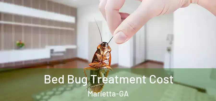  Bed Bug Treatment Cost Marietta-GA
