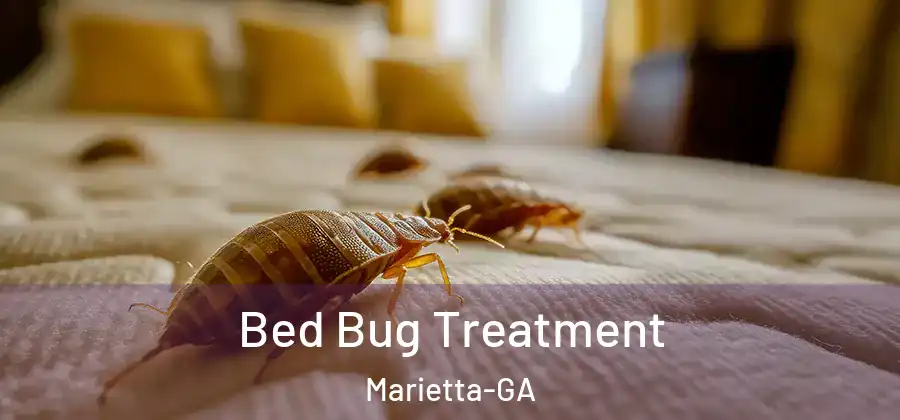 Bed Bug Treatment Marietta-GA
