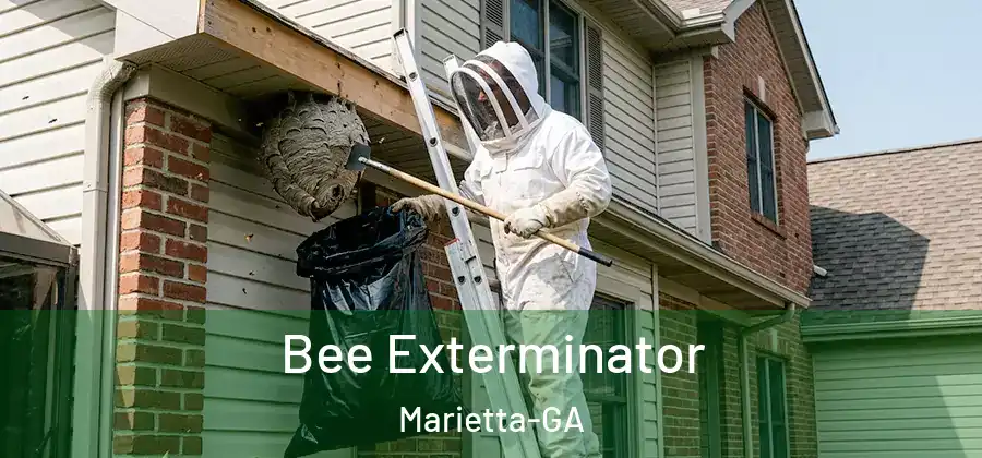 Bee Exterminator Marietta-GA