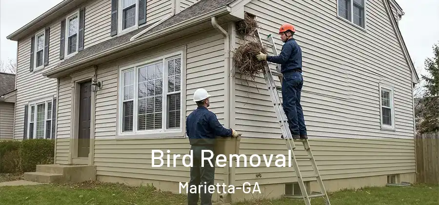  Bird Removal Marietta-GA
