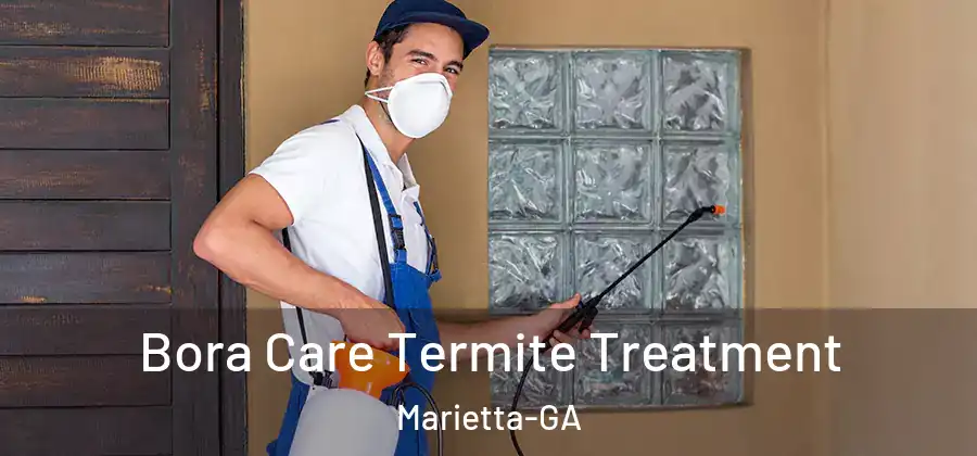  Bora Care Termite Treatment Marietta-GA
