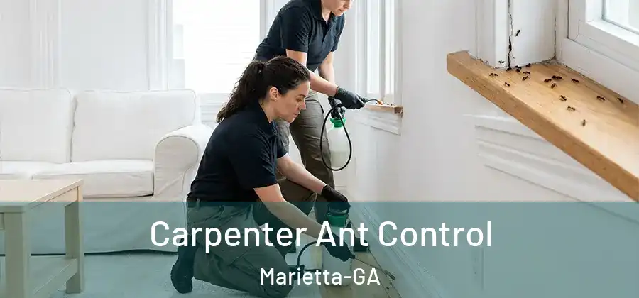 Carpenter Ant Control Marietta-GA