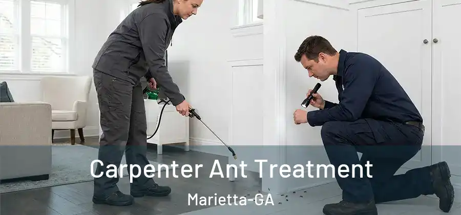  Carpenter Ant Treatment Marietta-GA