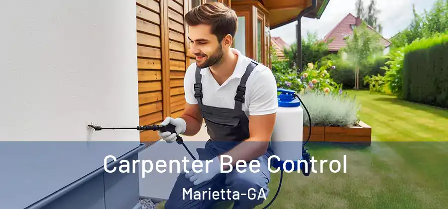Carpenter Bee Control Marietta-GA
