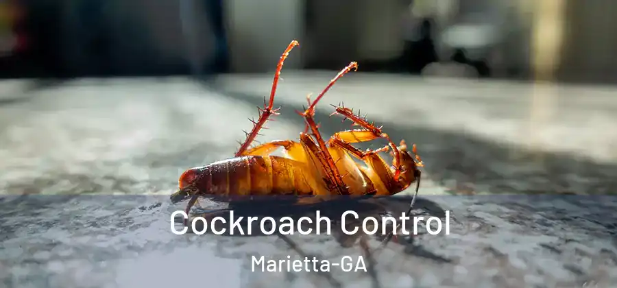 Cockroach Control Marietta-GA