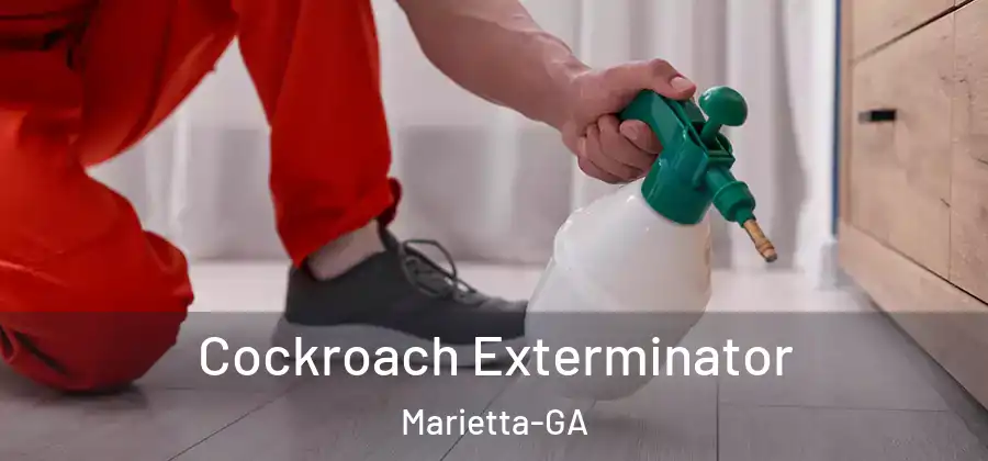  Cockroach Exterminator Marietta-GA