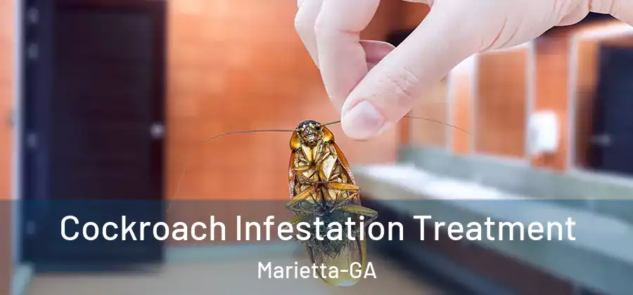  Cockroach Infestation Treatment Marietta-GA