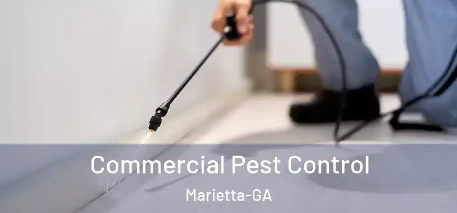  Commercial Pest Control Marietta-GA