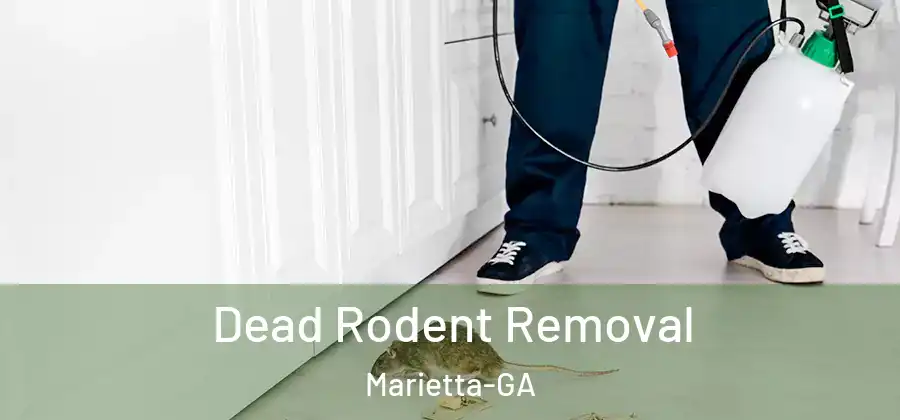  Dead Rodent Removal Marietta-GA