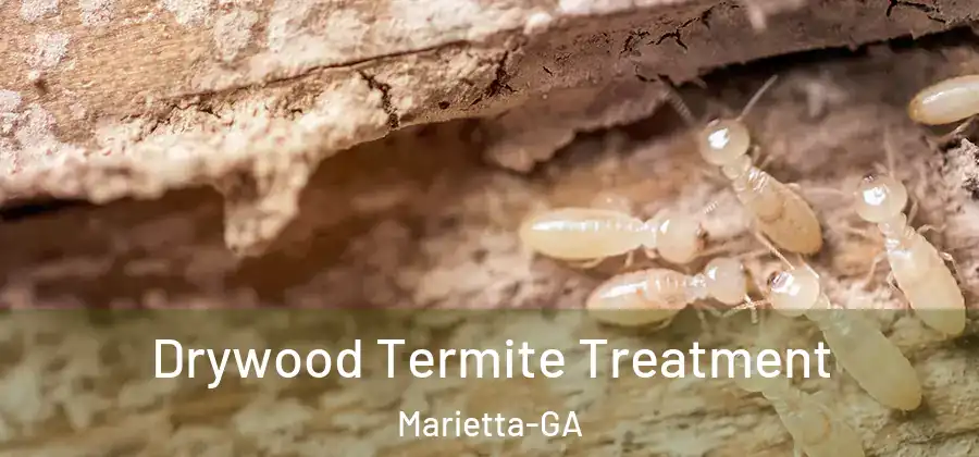 Drywood Termite Treatment Marietta-GA