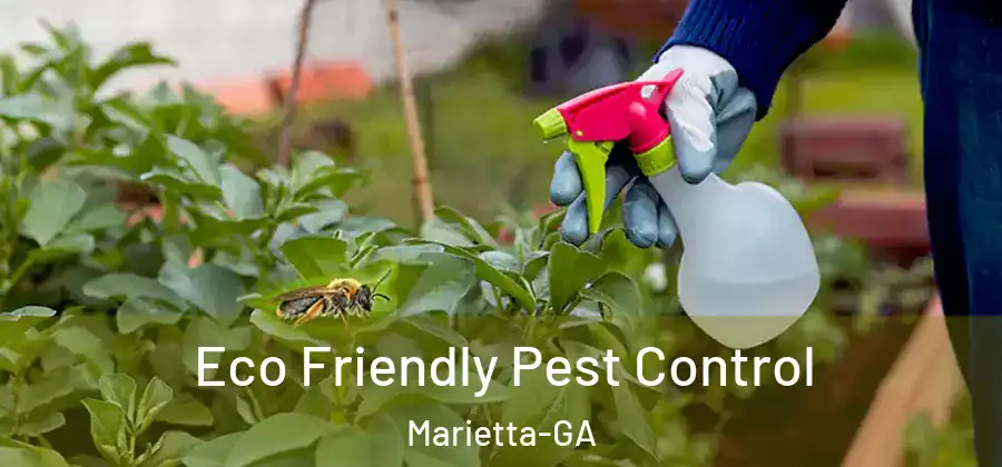 Eco Friendly Pest Control Marietta-GA