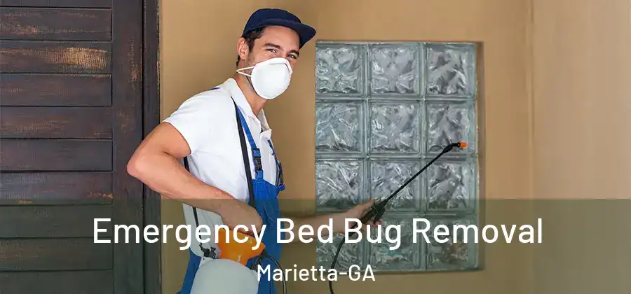 Emergency Bed Bug Removal Marietta-GA