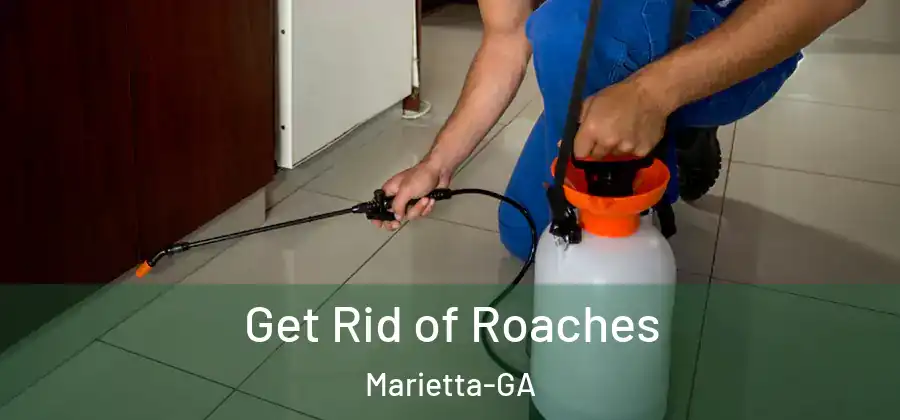 Get Rid of Roaches Marietta-GA