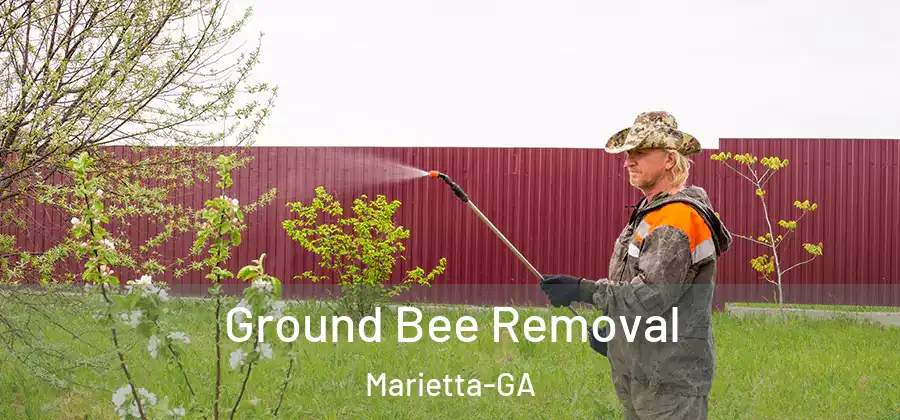 Ground Bee Removal Marietta-GA