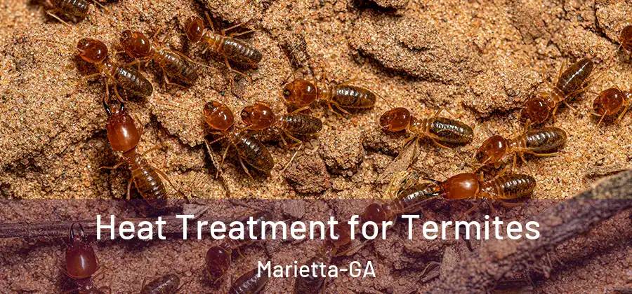 Heat Treatment for Termites Marietta-GA