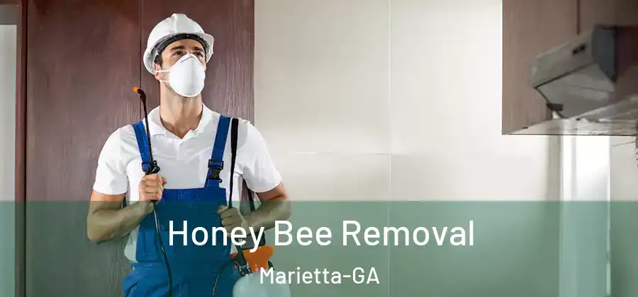  Honey Bee Removal Marietta-GA