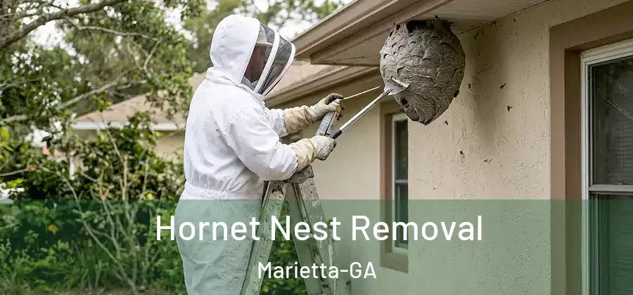  Hornet Nest Removal Marietta-GA