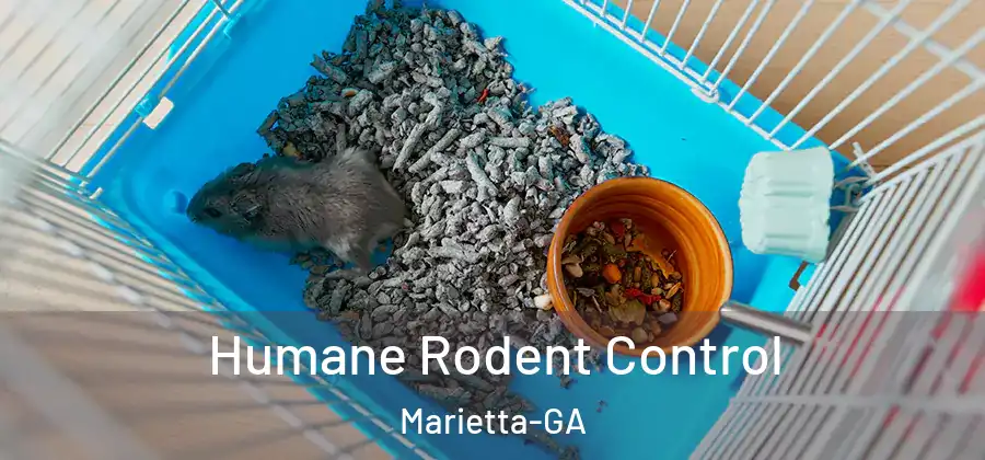  Humane Rodent Control Marietta-GA