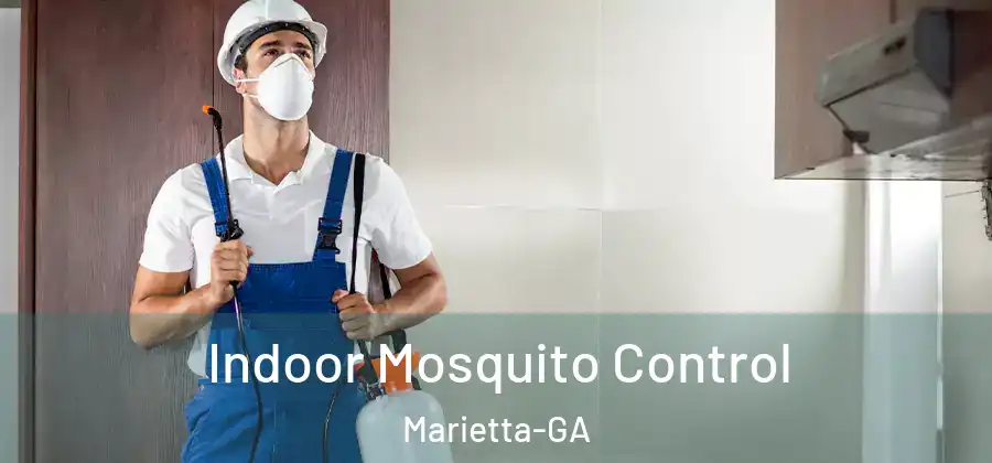  Indoor Mosquito Control Marietta-GA