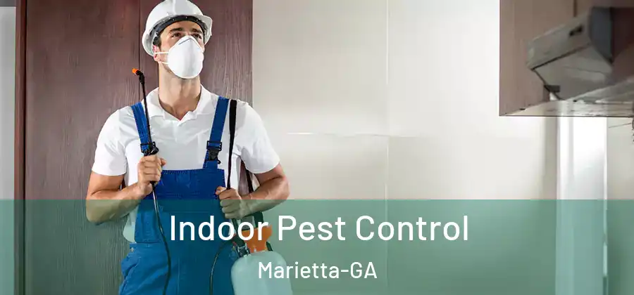 Indoor Pest Control Marietta-GA