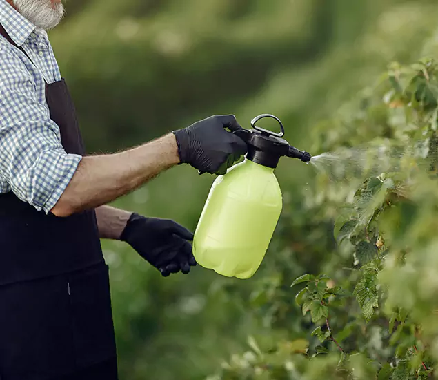 Your Proven Mosquito Treatment Company in Marietta, GA