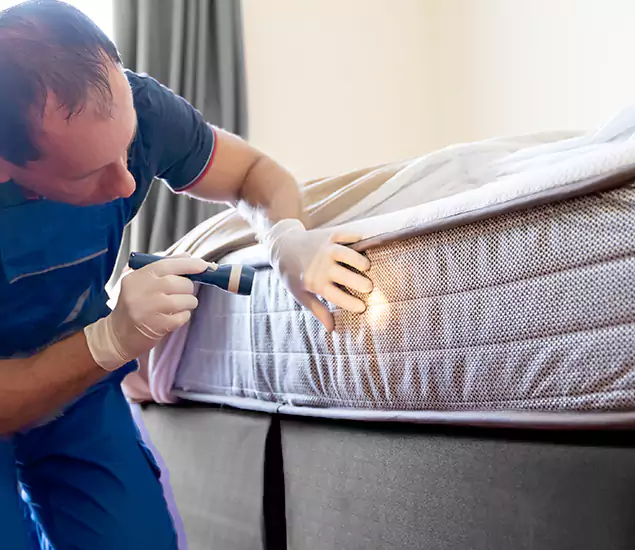 Trusted Bed Bug Cost Experts in Marietta, GA