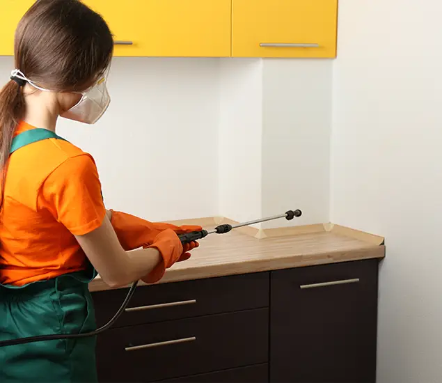 Trusted Bed Bug Pest Control Specialist in Marietta, GA