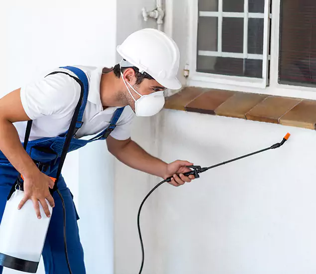 Your Professional Cockroach Exterminator in Marietta, GA