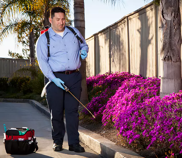 About Our Eco Safe Pest Control Experts in Marietta, GA