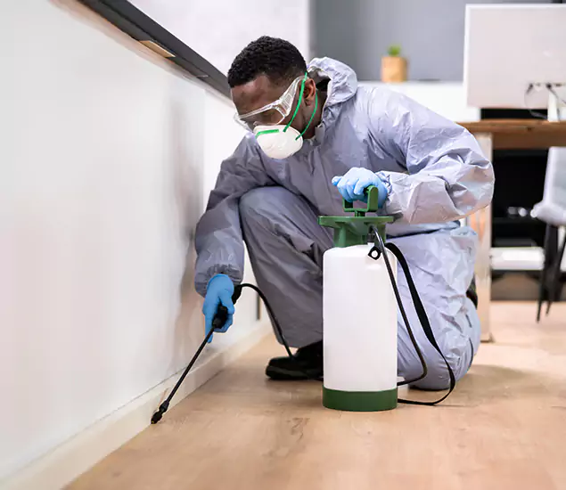 Leading Industrial Pest Control Experts Serving Marietta, GA